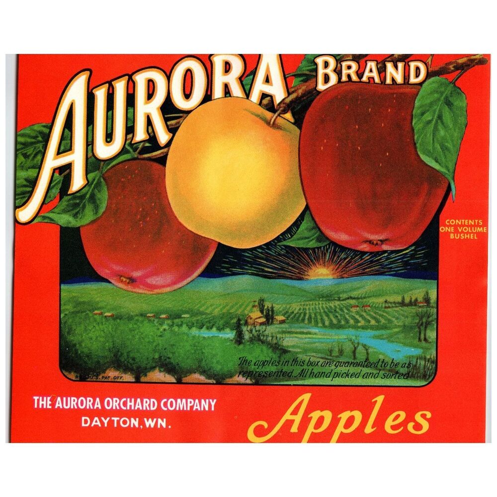 Aurora Apples Crate Label Dayton WA 1930s Fruit Orchard Ephemera